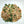 Casa Flake Garlic and Herb Seasoning on a white surface